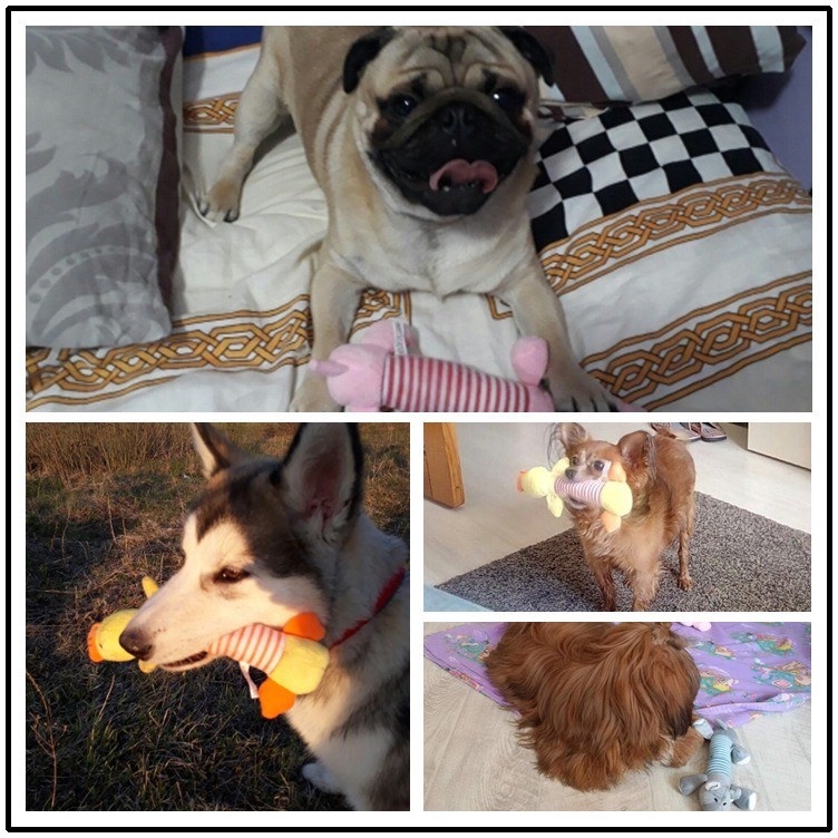 Thú Nhồi Bông Phát Ra Tiếng Kêu Hình Động Vật Đáng Yêu Cho Thú Cưng