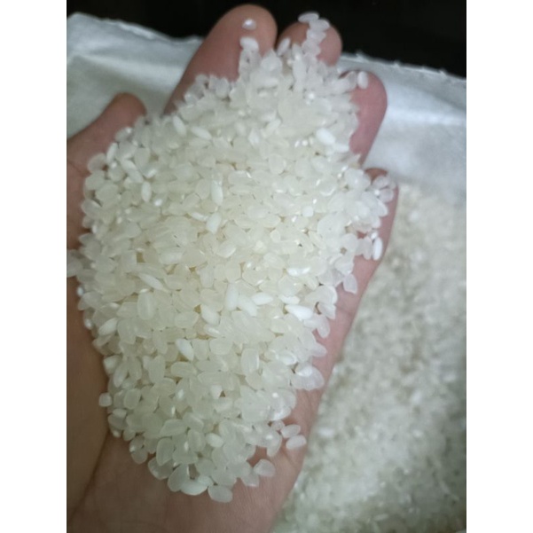 Gạo sén cù tròn Văn Chấn-2kg