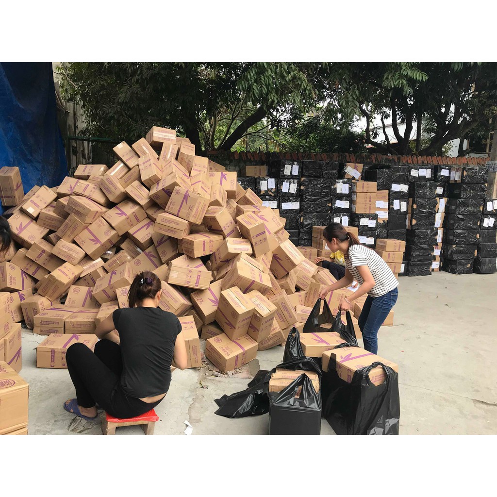 Combo 6 gói giấy ăn gấu trúc Sipiao chính hiệu