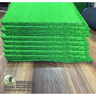Tấm cỏ nhựa giá rẻ 25cm x 50cm