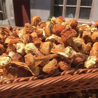 Nấm tùng nhung ( hầm canh, hầm gà, hầm chim câu)