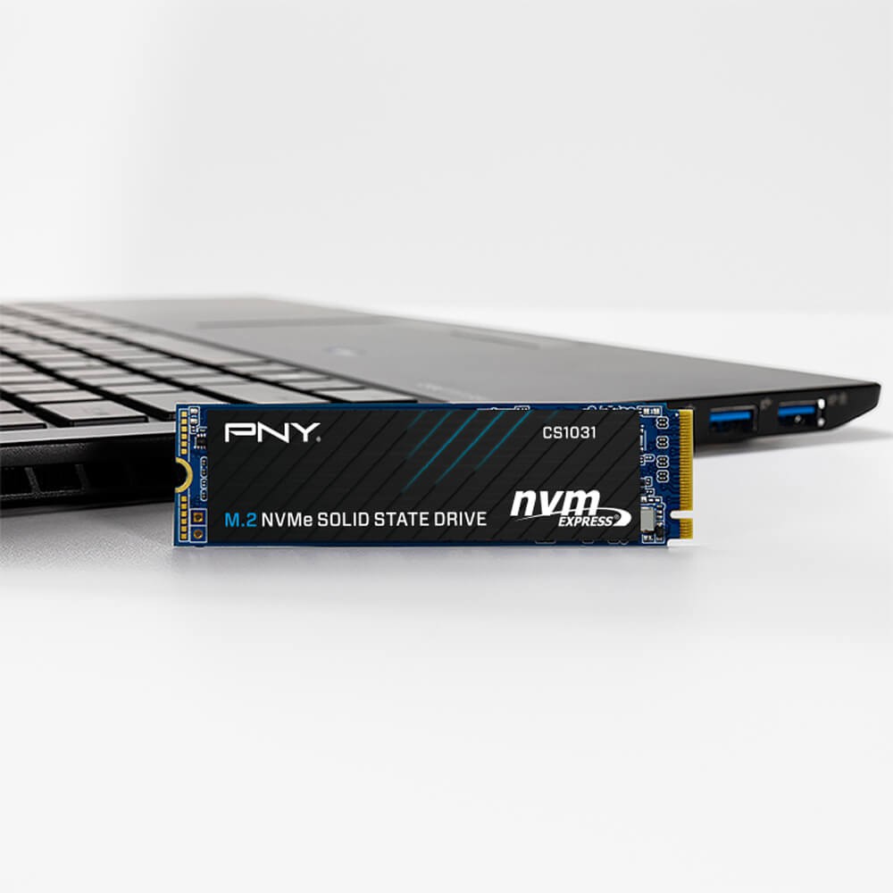 SSD PNY CS1031 M.2 2280 NVMe Gen3x4 256GB - Hàng Chính Hãng