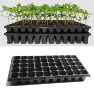 khay ươm hạt 50 lỗ- bền đẹp