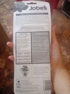 Phân que jobes