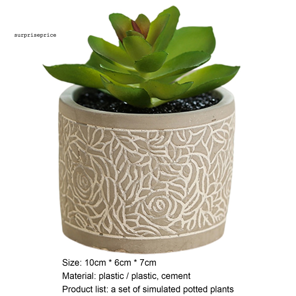 Kệ Để Chậu Cây Bonsai Mini Thân Thiện Với Môi Trường Dùng Trang Trí Bàn Làm Việc