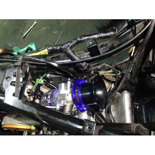 Co gió exciter winner