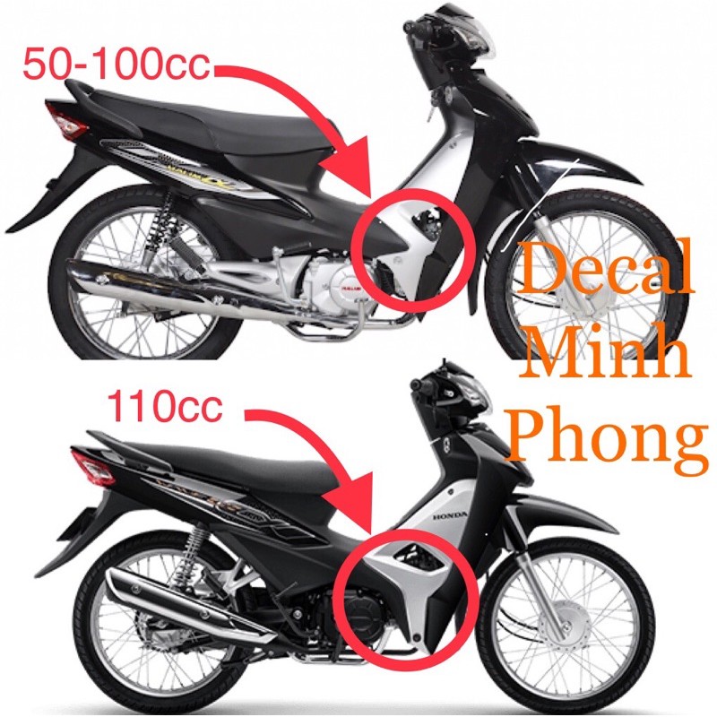 Tem Wave 100 và 50cc,cá chép nhiều màu