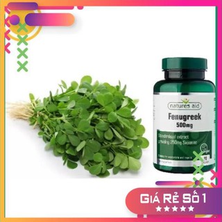 Hg203 h bách hóa - cỏ cà ri freg