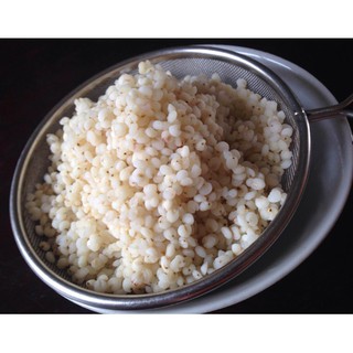 Hạt Bo Bo (Ý Dĩ)