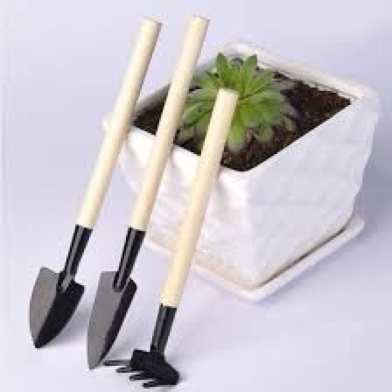 Bộ Dụng Cụ Làm Vườn 3 Món Mini, Cào Xẻng Trồng Sen Đá, Xương Rồng, Cào Cuốc Làm Vườn