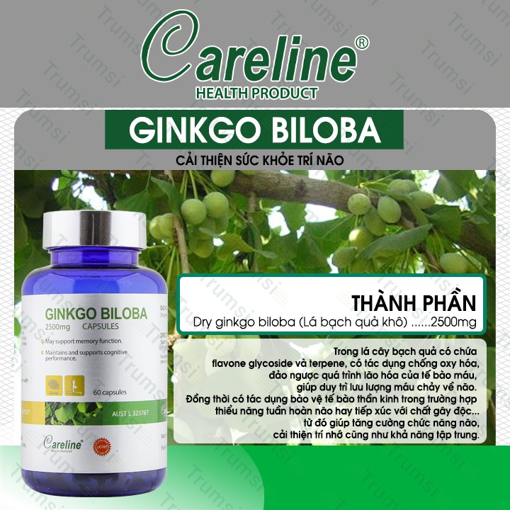 Viên uống hoạt huyết dưỡng não Careline Ginkgo Biloba 2500MG giúp tăng cường trí nhớ giảm đau đầu mệt mỏi chóng mặt