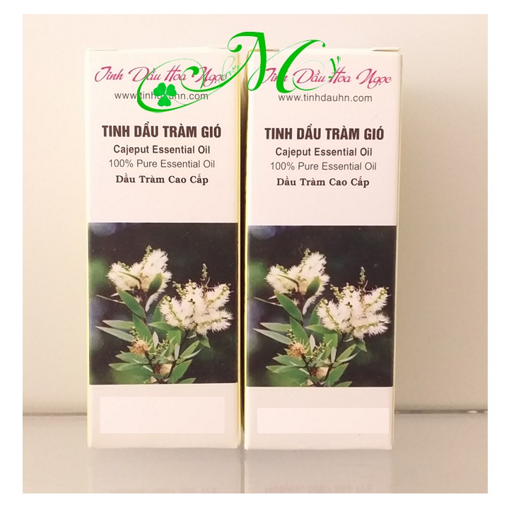 Tinh dầu tràm gió - Phòng ngừa cảm cúm, cảm lạnh, bảo vệ cơ thể khỏi côn trùng đốt
