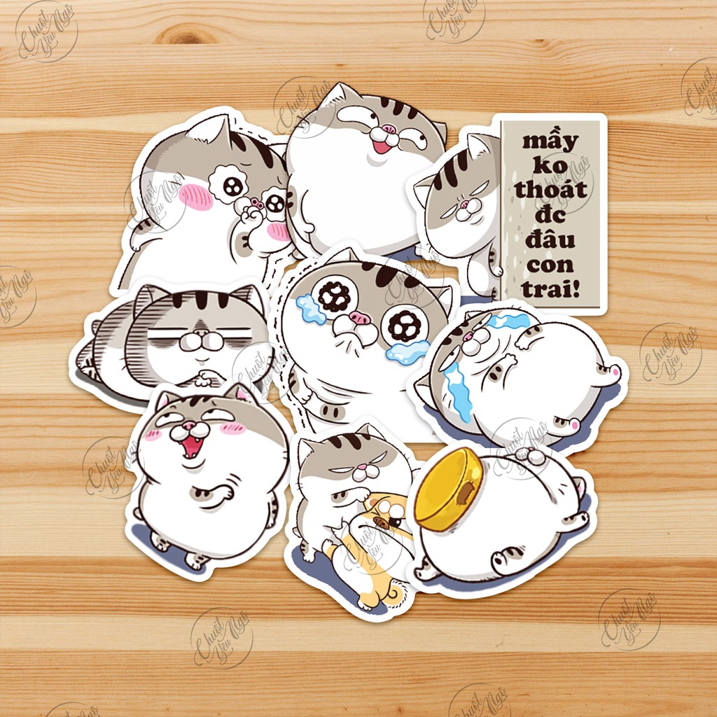Combo 30/60/120/180 sticker decal hình dán chủ đề Mèo AMI bụng bự dễ thương xe, dán mũ bảo hiểm, dán laptop, điện thoại