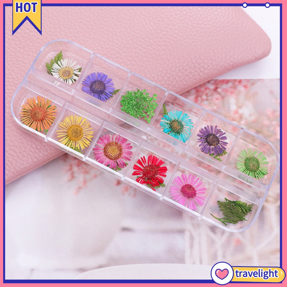 (Travelight) Hộp phụ kiện hoa khô trang trí móng tay