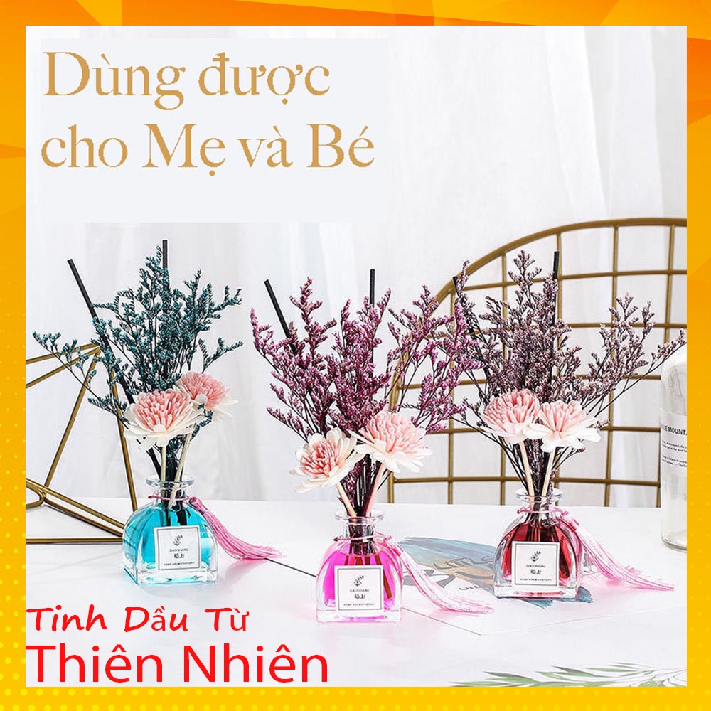 Tinh Dầu Thơm Thiên Nhiên 50ml Để Phòng Que Gỗ Tự Khuếch Tán Thanh Lọc Khử Mùi Không Khí-timidi_decor