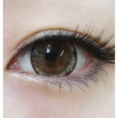 (CÓ CẬN) Mẫu Icy Flower 15mm- Vassen Contact Lens Kính áp tròng