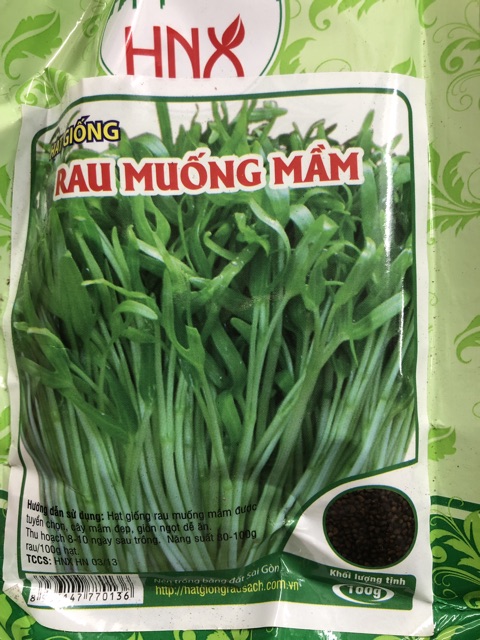 Hạt giống Rau muống mầm (gói 100gr)