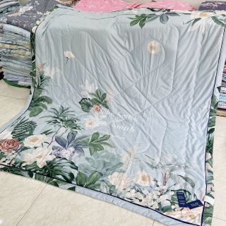 Chăn hè thu lụa TENCEL