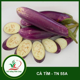 Hạt gống Cà tím TN 55A - 1g