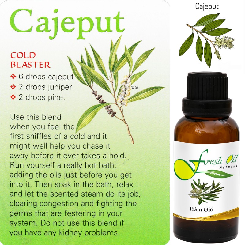 Tinh dầu tràm gió Cajeput 10ml