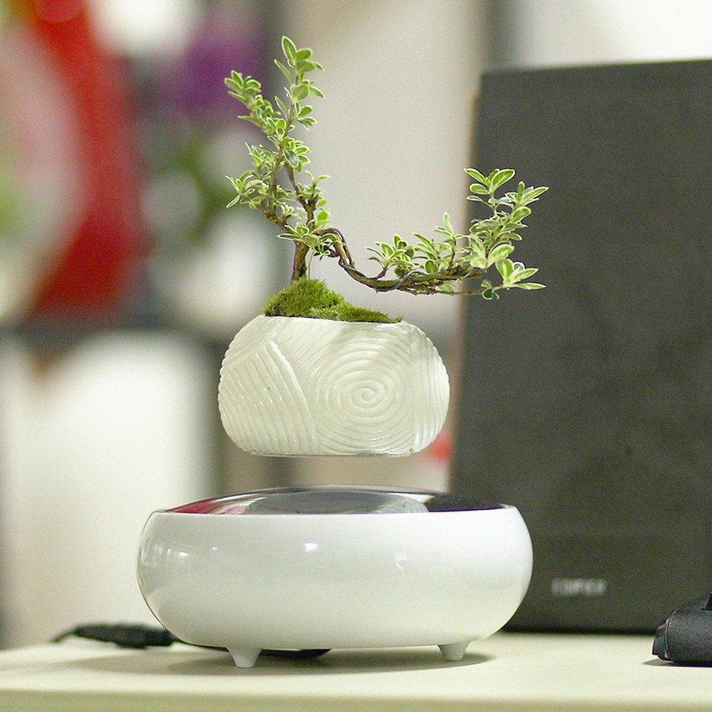 Chậu cây bay lơ lửng nam châm điện - Air Bonsai