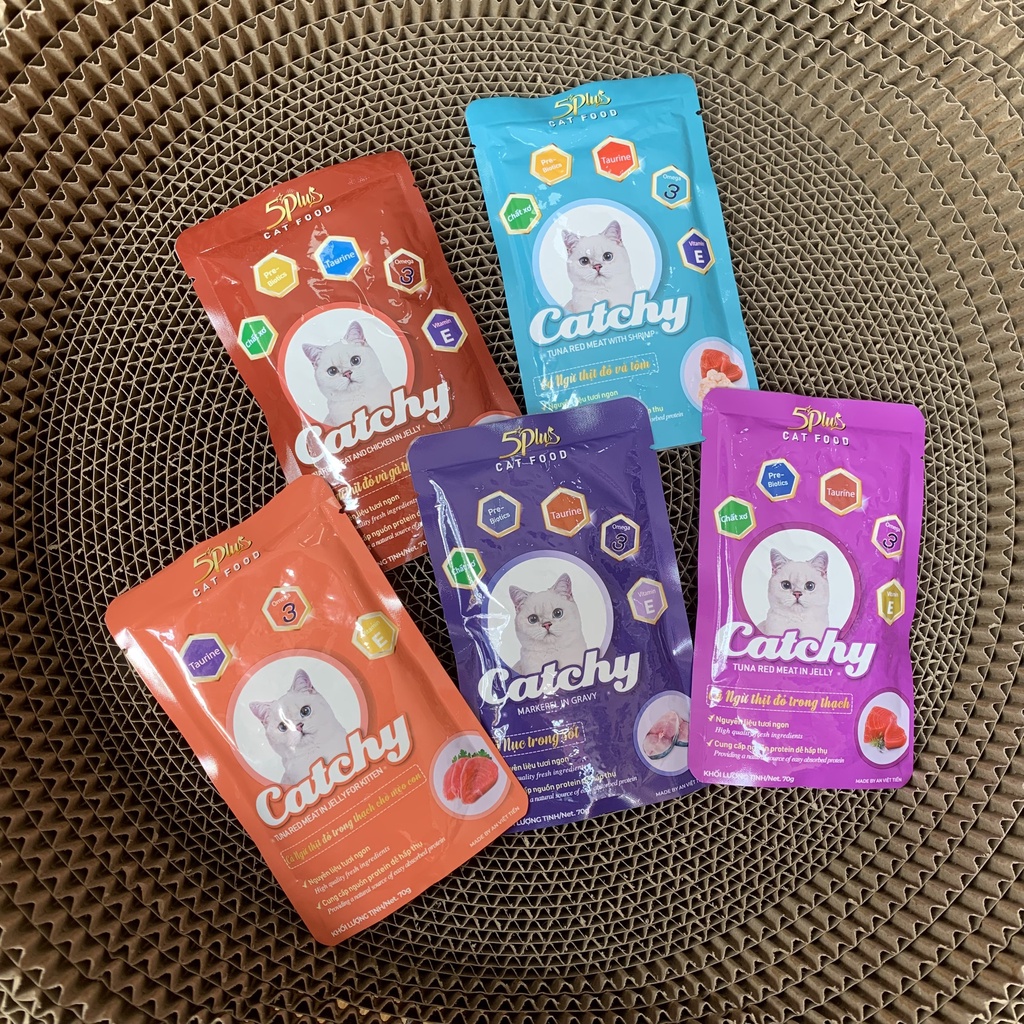 Pate cho mèo Catchy 5 Plus thơm ngon đủ vị 70g