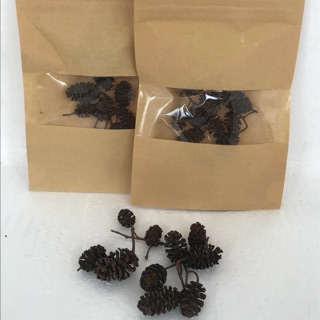 Hạt Alder Cones ( Erlnzaphen ) Giúp Giảm Stress Và Kháng Viêm Cho Cá Tép