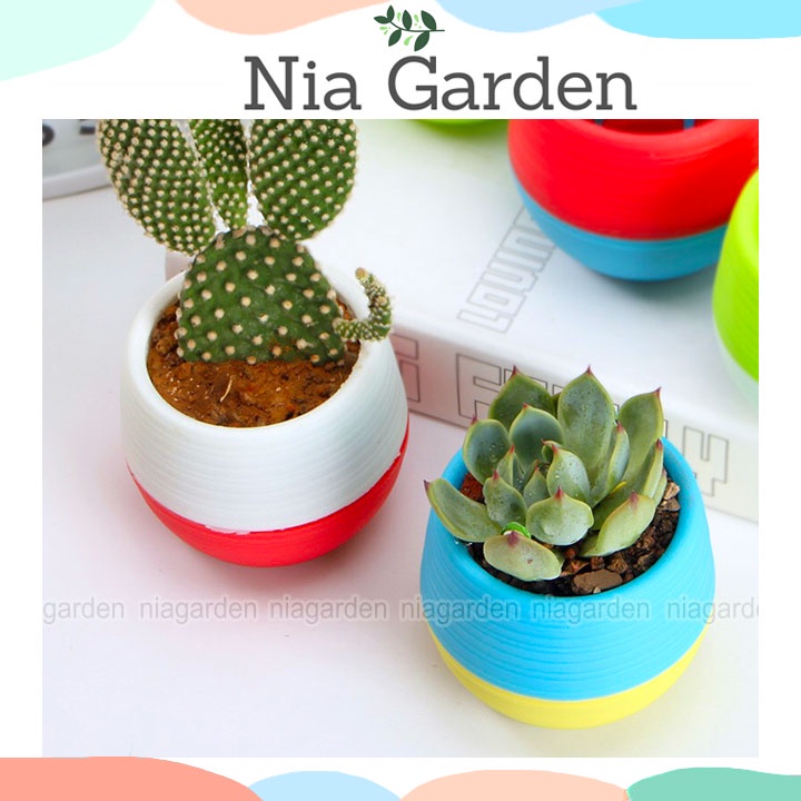 Chậu nhựa trồng sen đá xương rồng cây để bàn mini tròn 2 màu Nia Garden N8