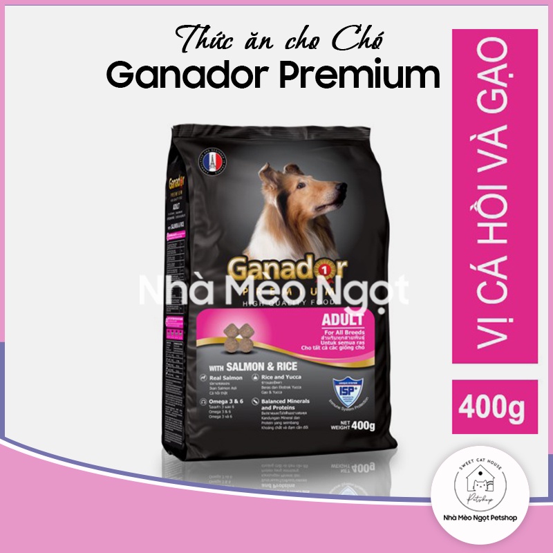 Hạt Ganador Adult cá hồi cho chó
