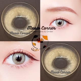 Lens Sorayama 4 màu đủ độ cận