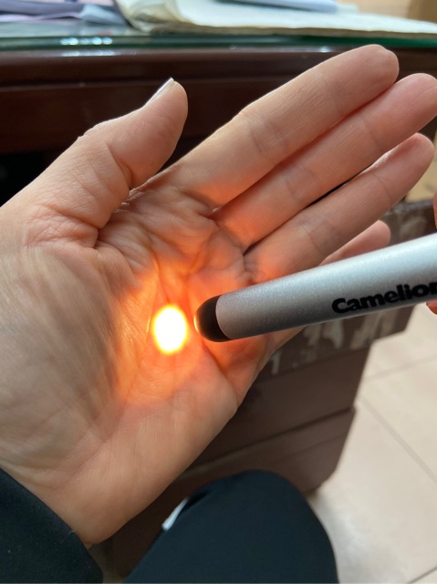 Đèn pin bút soi tai mũi họng, mắt CAMELION