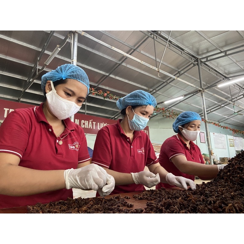 Hoa Hồi Khô AFOREX đặc sản Lạng Sơn chất lượng tiêu chuẩn xuất khẩu 100g