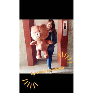 Gấu brown khổ 1m