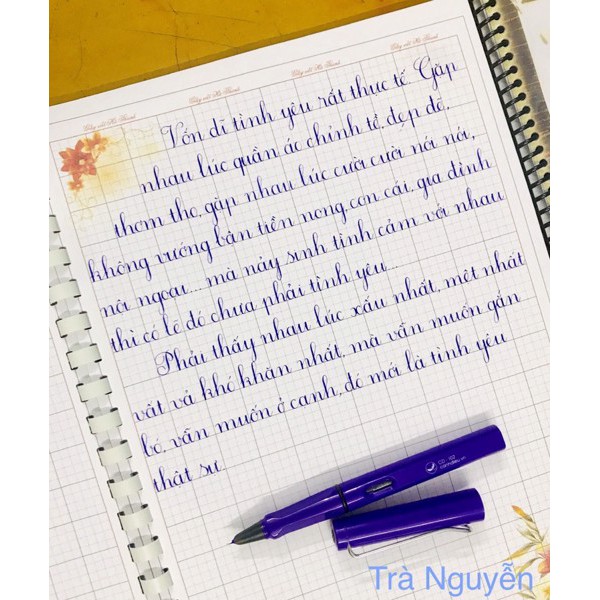 Bút Cánh Diều 102