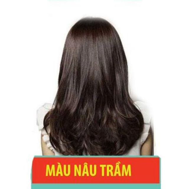 Nhuộm phủ bạc an toàn từ lá cây - Hennita Việt Nam - Màu Nâu - Hàng chất lượng | BigBuy360 - bigbuy360.vn