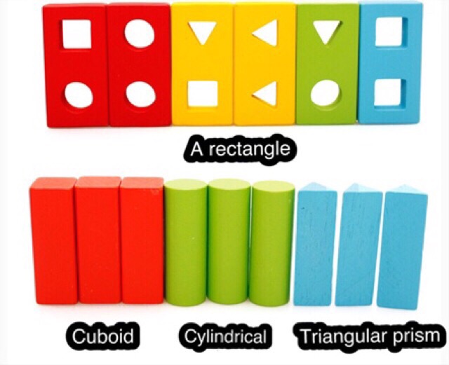 [ ẢNH THẬT ] ĐỒ CHƠI GỖ MONTESSORI THẢ CỌC HÌNH KHỐI 3D THÔNG MINH CHO BÉ