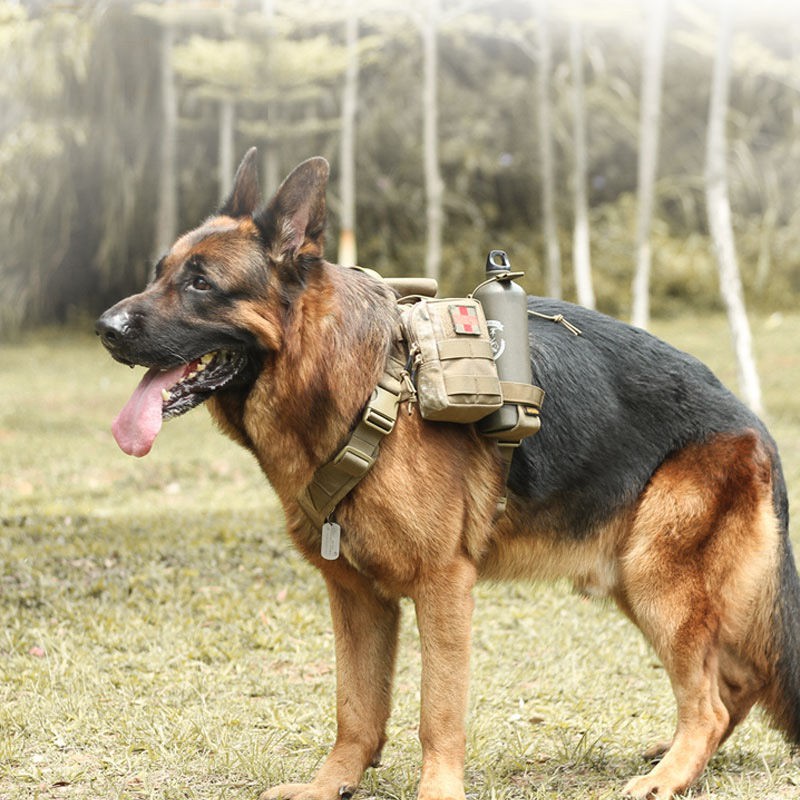 Quần áo chó cảnh vừa và lớn cho tuần tra k9 gi lê lông vàng săn chiến thuật Vest huấn luyện