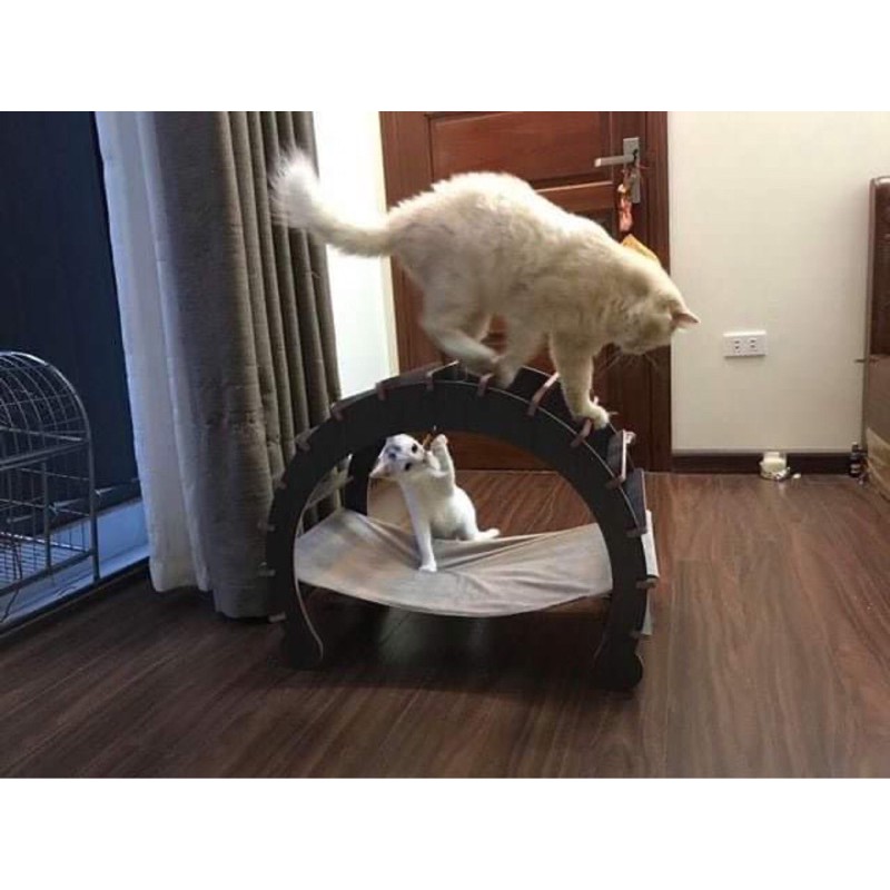 [Mã PET50K giảm Giảm 10% - Tối đa 50K đơn từ 250K] võng móng ngựa cho mèo