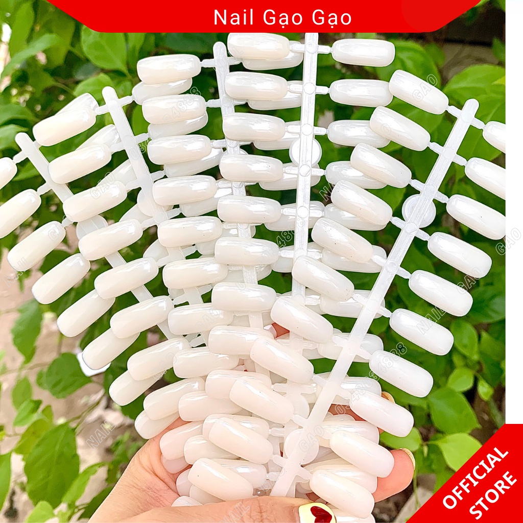 Móng giả gắn sổ Mẫu ( 120 móng/bich)
