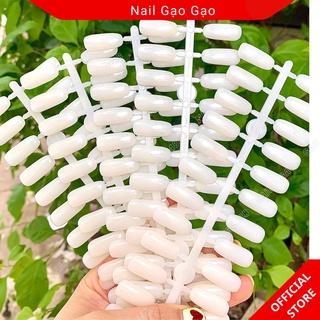 Móng giả gắn sổ Mẫu