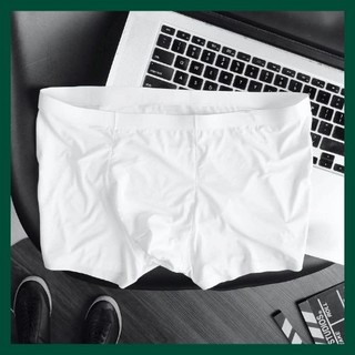 Quần lót nam sịp đùi thun lạnh siêu mát TL01A