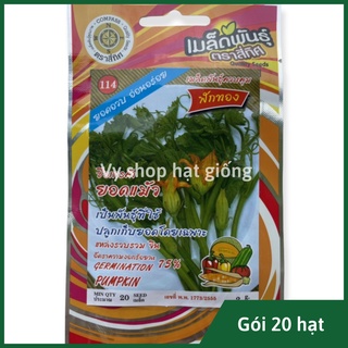 Hạt giống bí siêu ngọn siêu nụ Thái Lan gói 20 hạt