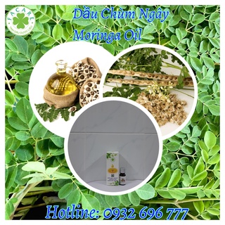 Dầu chùm ngây Moringa oil - 100ml