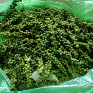 Tiêu xanh 0.5kg