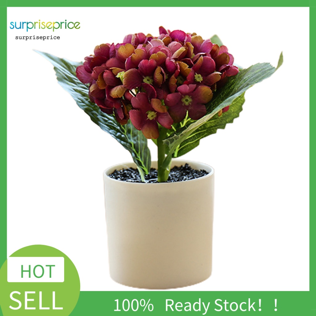 Chậu Cây Bonsai Nhân Tạo Chống Mòn Tiết Kiệm Không Gian Cho Khách Sạn / Bàn Làm Việc