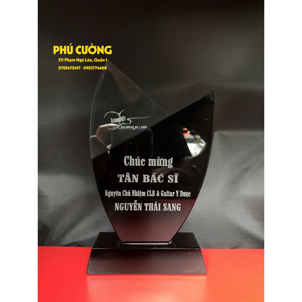 Kỷ Niệm Chương - Pha Lê - 2 Lớp Chéo