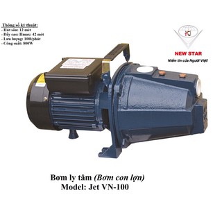 Máy bơm nước bán chân không vn jet 100 800w