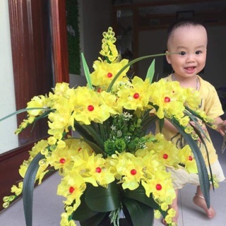 Combo chậu hoa nghệ thuật