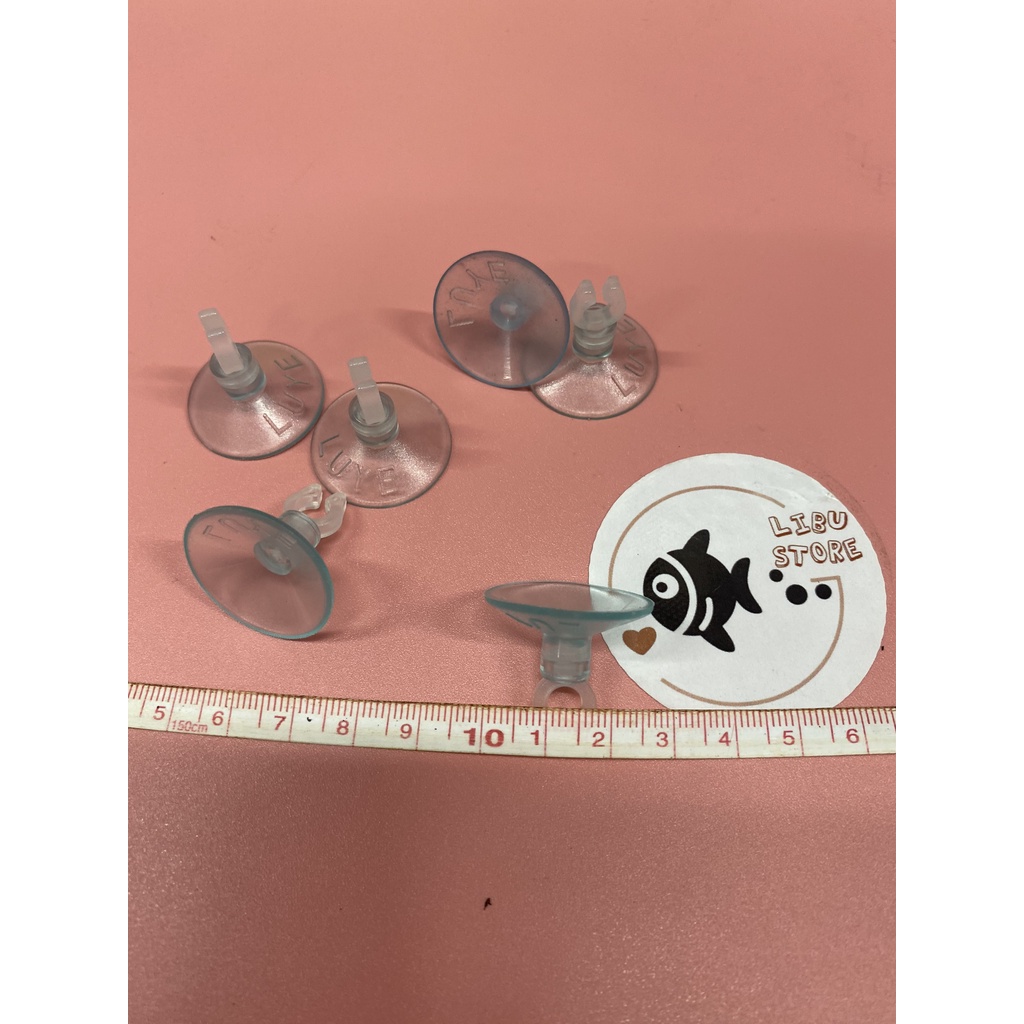 Hít kính giữ ống DÂY OXY 5 MM cho hồ cá cảnh