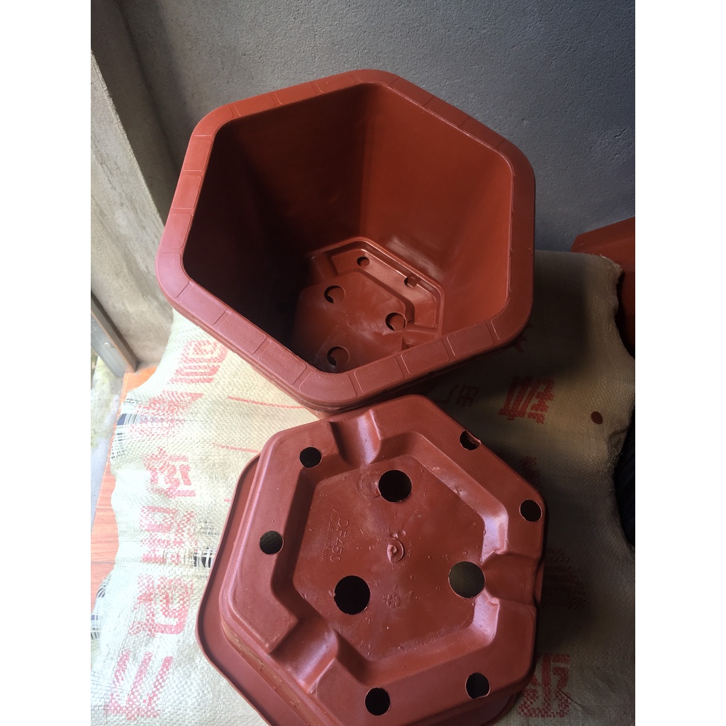 10 CHẬU NHỰA LỤC GIÁC MÃ #450 (DỊCH TRUYỀN CỨU CÂY, KÍCH RỄ MẦM CÂY, BẦU KHAY TÚI ƯƠM..)